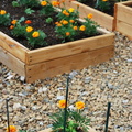 planters for peppers