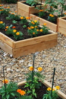 planters for peppers