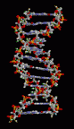 DNA rotating animation