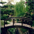 japanese garden10