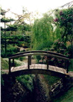 japanese garden10
