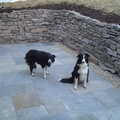 abbie and maggie w-stone wall and flagstone patio.jpg